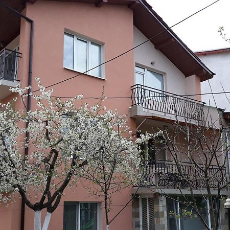 Вила Багрянови Dospat Εξωτερικό φωτογραφία