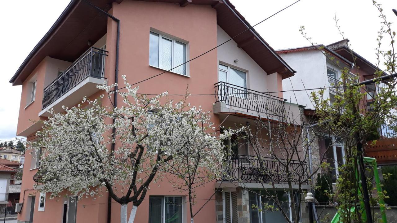 Вила Багрянови Dospat Εξωτερικό φωτογραφία
